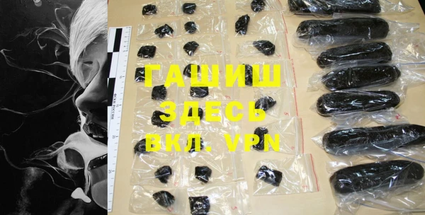 индика Осинники