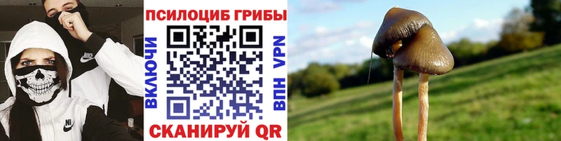 Псилоцибиновые грибы GOLDEN TEACHER  Обоянь 